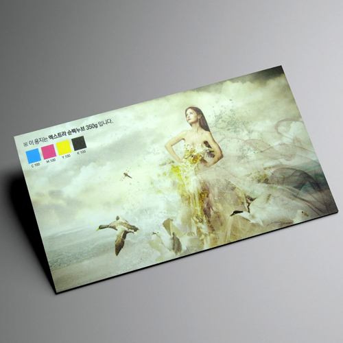 [고품격명함] 엑스트라 순백누브 400g